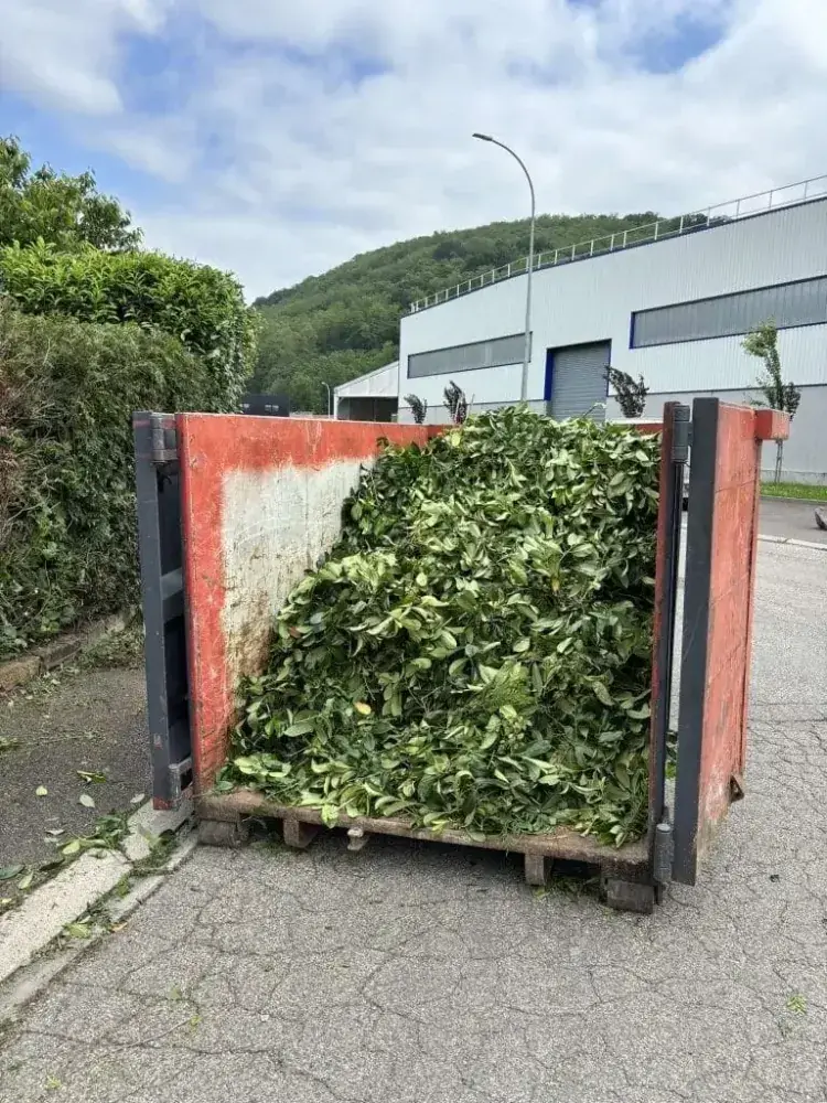 Location de benne à Nice avec un service fiable, réactif et professionnel